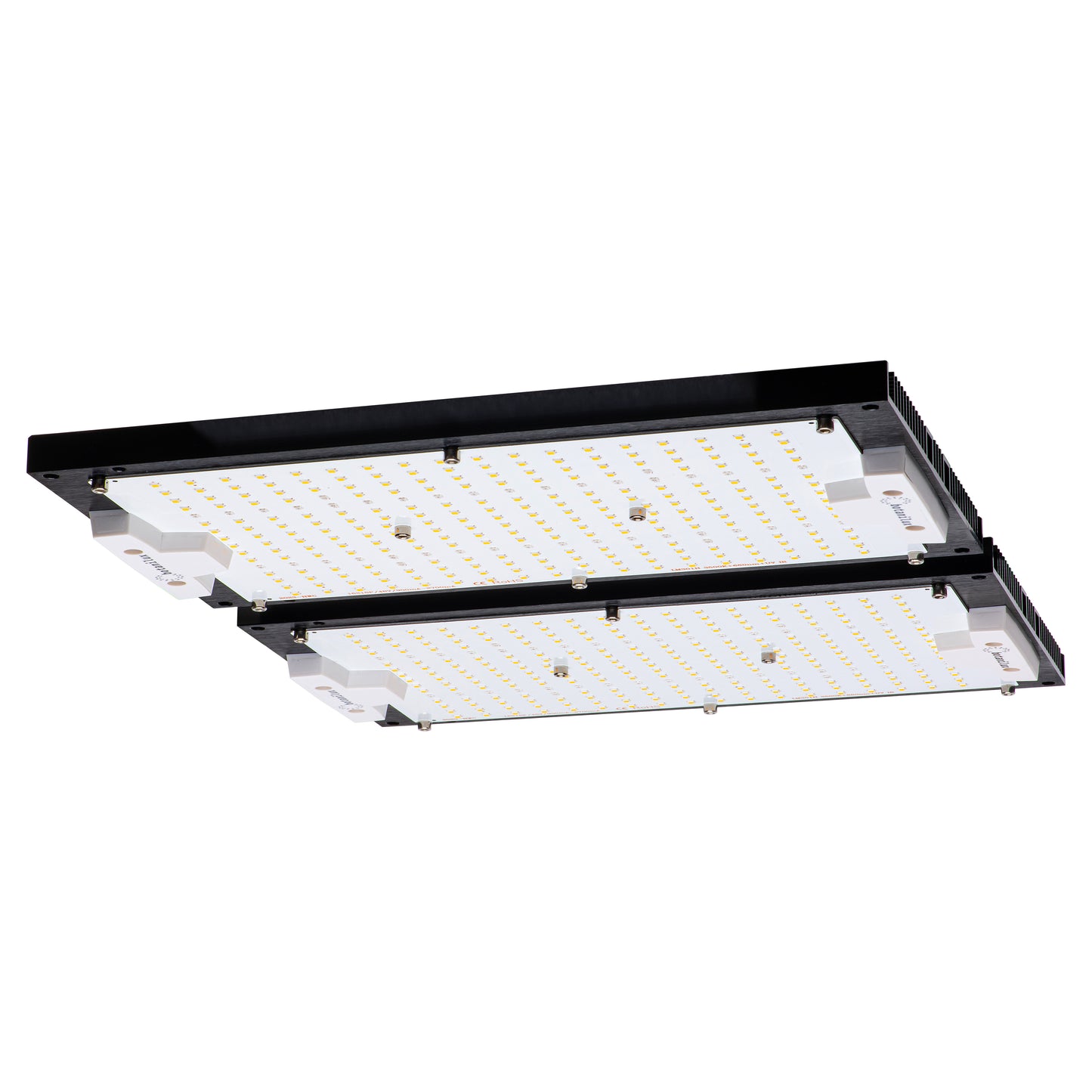 BotaniLux Ultra 240